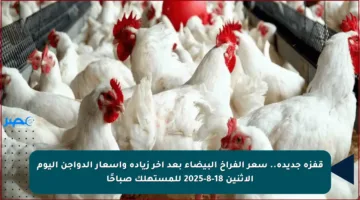 قفزة جديدة.. سعر الفراخ البيضاء بعد آخر زيادة وأسعار الدواجن اليوم الاثنين 18-8-2025 للمستهلك صباحًا